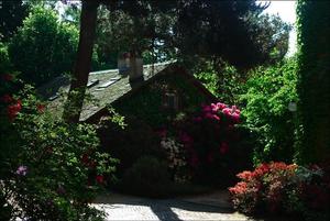 The little house at Buchillon