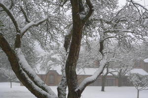 Brockwood Study Centre in winter