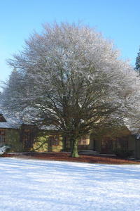 Brockwood Study Centre