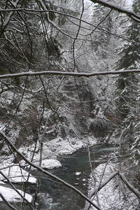 Grieschbach in winter