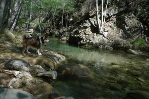 On a walk in Ojai