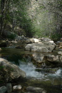 Stream in Ojai