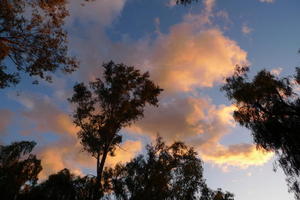 Ojai sky