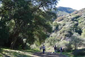 Walking in Ojai