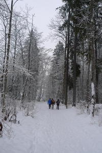 Swiss winter in Rougemont