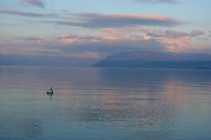 Lake Geneva at Buchillon