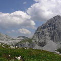 3598_square