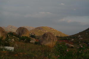 In Rishi Valley