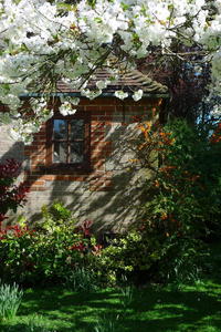Brockwood Study Centre