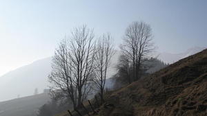 Behind Rougemont