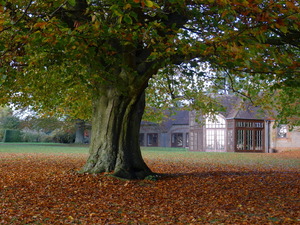 The Krishnamurti Centre