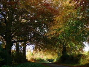 Below Brockwood