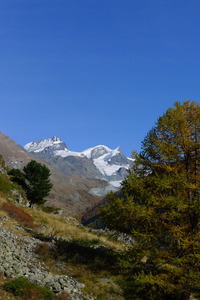 Above Zermatt