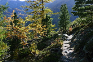 Above Zermatt