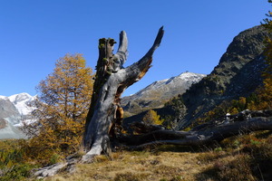 Above Zermatt