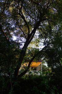 At the Banyan Tree Rooms
