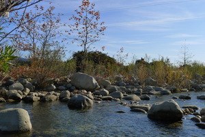 Ventura River bed