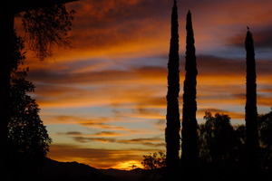 Sunset near Pine Cottage