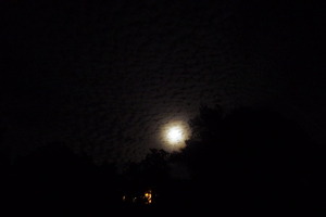 Moon over Ojai