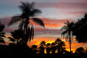 Ojai Sunset