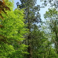 3828_square