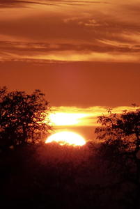 Sunset in Ojai - d
