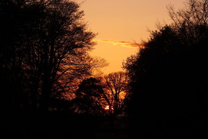 Fire in the Brockwood sky