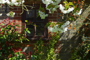 A corner of the Centre