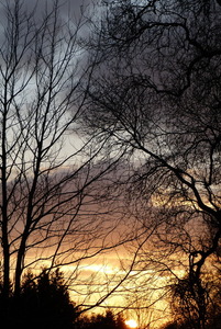 Another Brockwood sunset