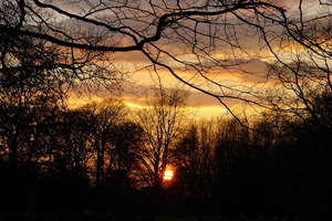 A Brockwood sunset
