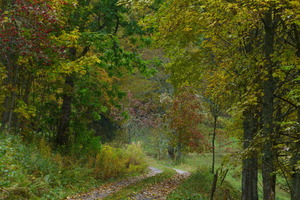 On Hintergrundbachweg