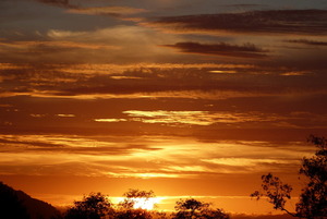 Pine Cottage Sunset