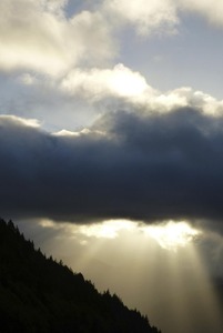 Sunlight on the Black Forest