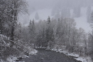 The Saane River in snow