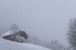 Walking in the snow, Rougemont