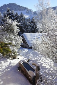 From Chalet Solitude, in winter