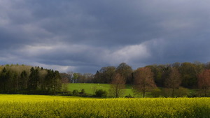 Bramdean Fields