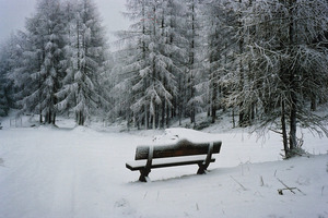 Winter contemplation