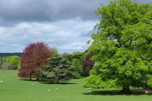 Brockwood Farm