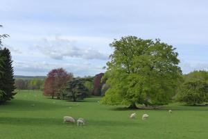 Brockwood Farm