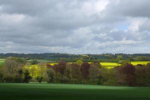 View over Bramdean