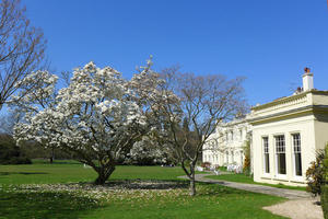 The South Lawn