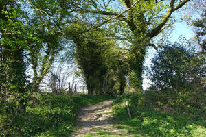 Between Brockwood and Bramdean