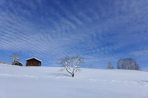 On a walk from Schoenried to Saanen