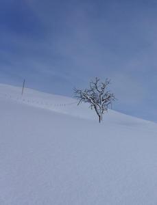 On a walk from Schoenried to Saanen