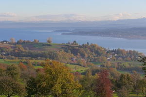 Bodensee (Lake Constance)