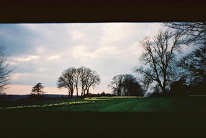 View from the Centre
