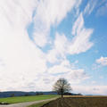 4030_square