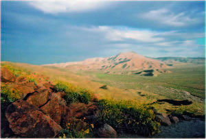 Anza Borrego