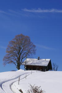 Still life with chalet